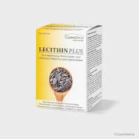 Lecithin Pulver